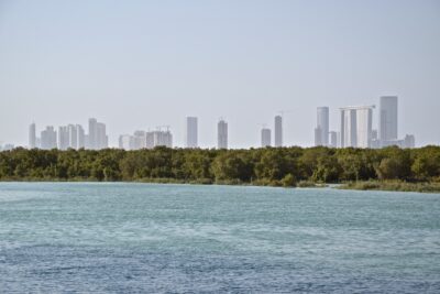 Mangrove & skyline d'Abou Dhabi