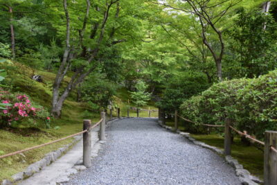 Jardin du Tenryu-Ji à Arashiyama