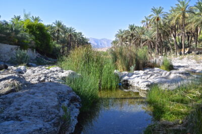 Oued près du fort de Nakhal