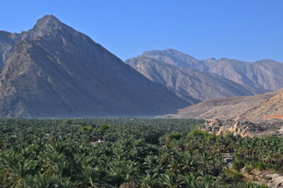 Panorama sur la palmeraie et les monts Hajar