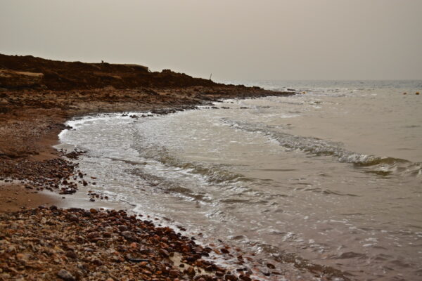 Baignade dans la mer Morte