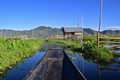 Pirogue dans les jardins flottants du lac Inle en Birmanie