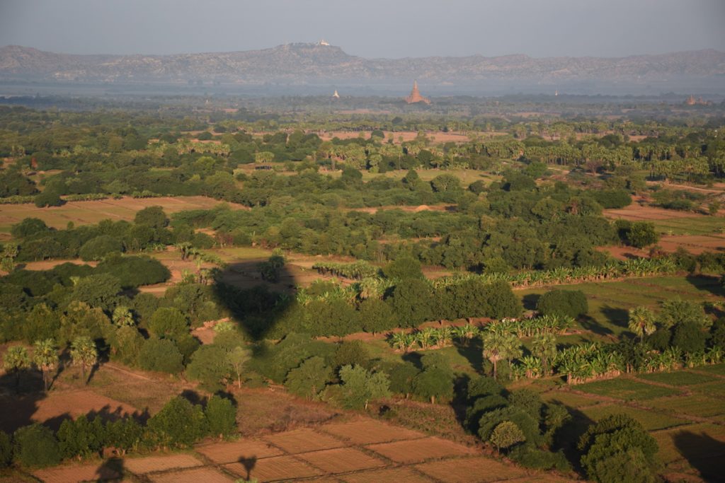 Bagan, survol des champs ...