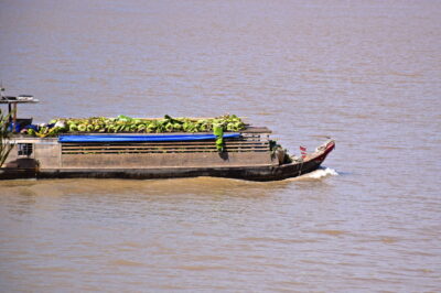 Bateau sur le delta du Mékong