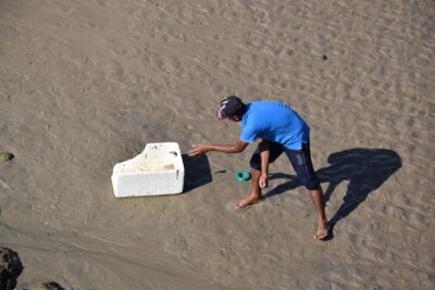 Pêcheur à Sour, Oman