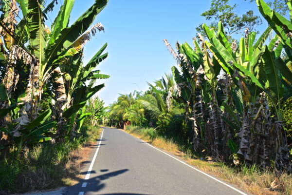 Une route sur Thoi Son, l'île de la Licorne