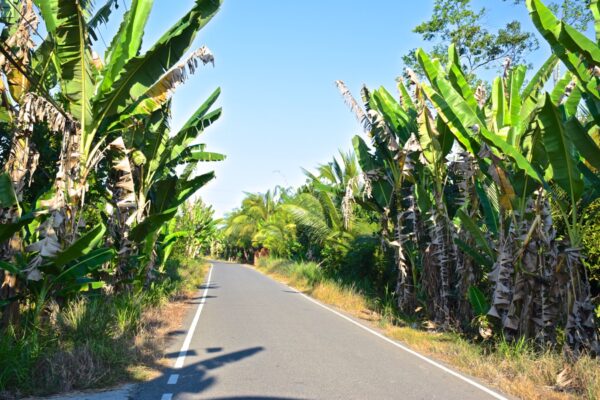 Thoi Son ou île de la Licorne