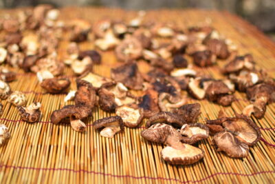 Champignons qui sèchent au soleil dans un temple coréen