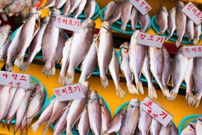Jagalchi fish market - Busan