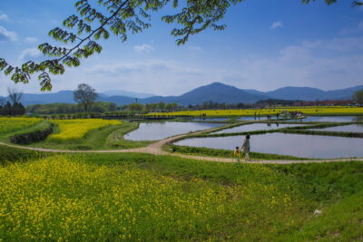 Gyeongju - Corée du Sud