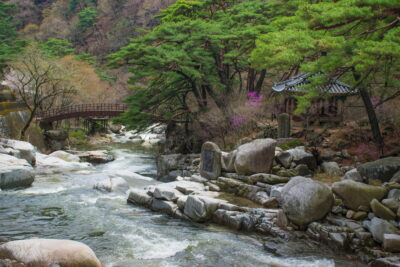 Dans le parc du temple Haeinsa