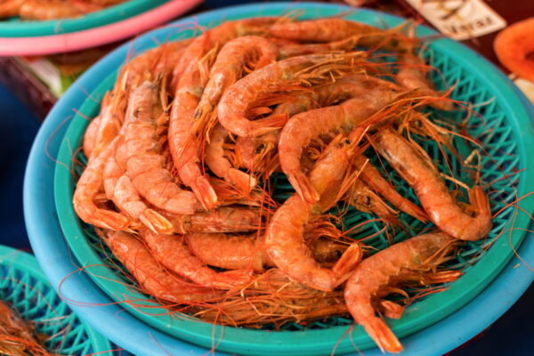 Crevettes au marché de Jagalchi - Busan