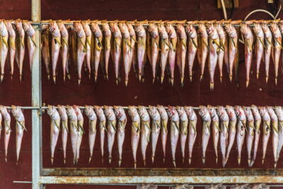 Dried fish - Jagalchi market