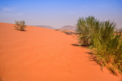 Dune de sable - Wadi Rum