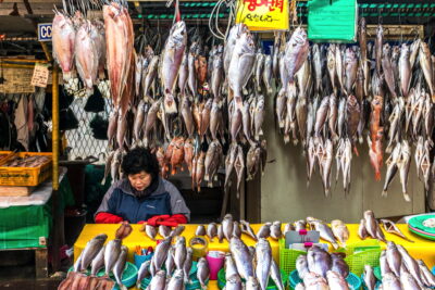 Etal au marché de Jagalchi