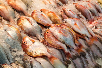 Fresh fish - Jagalchi market, Busan