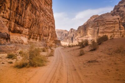 Piste dans le Wadi Rum