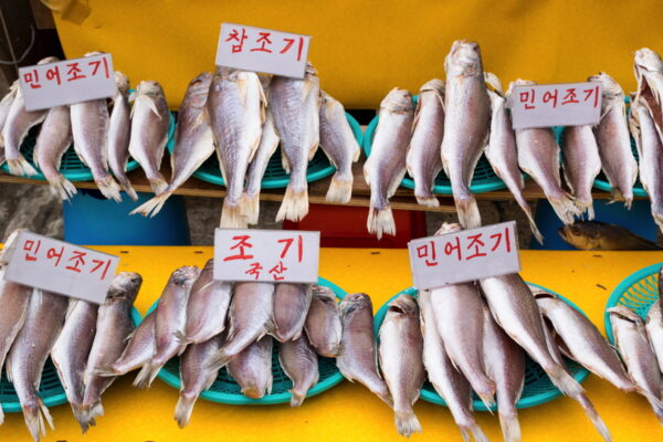 Poissons au marché de Jagalchi - Busan