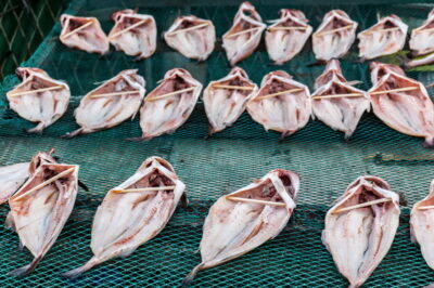 Poissons en train de sécher