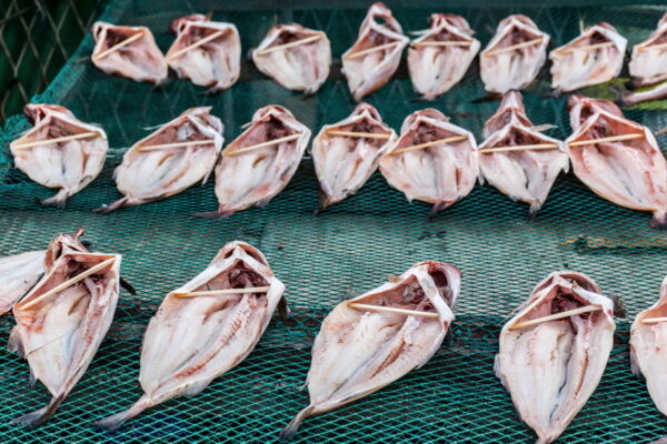 Poissons en train de sécher