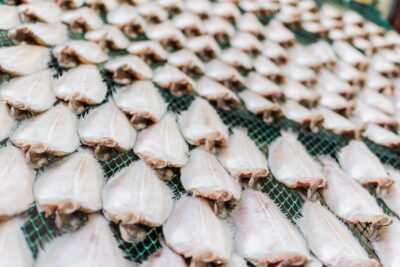 Poissons qui sèchent au soleil dans le port de Busan