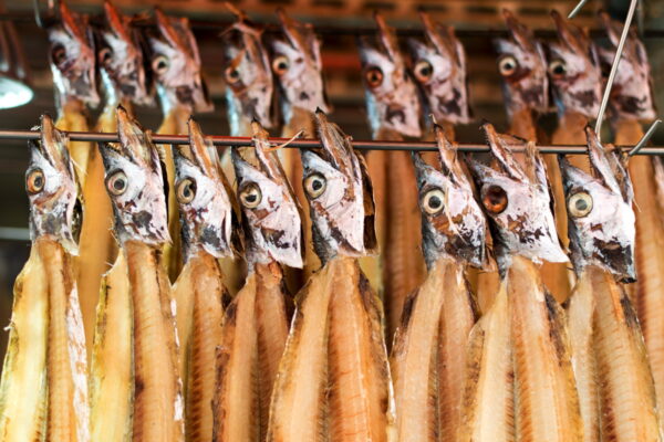 Poissons au marché de Jagalchi - Busan