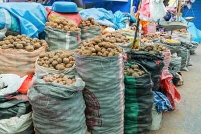 Pommes de terre au marché d'Urubamba