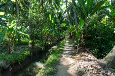 En vélo, dans le delta du Mékong au Vietnam