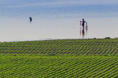 Pêche près du pont U Bein