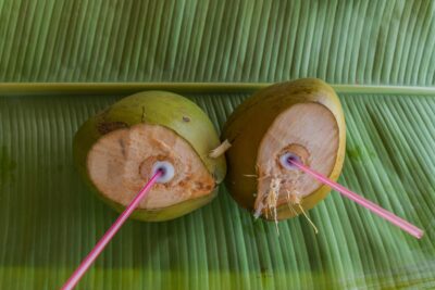 Fresh coconuts !