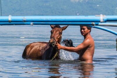 Homme lavant son cheval dans le lac du volcan Taal