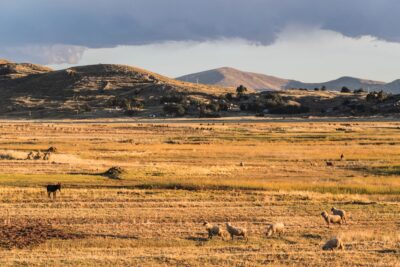 Vue sur les environs du lac Titicaca