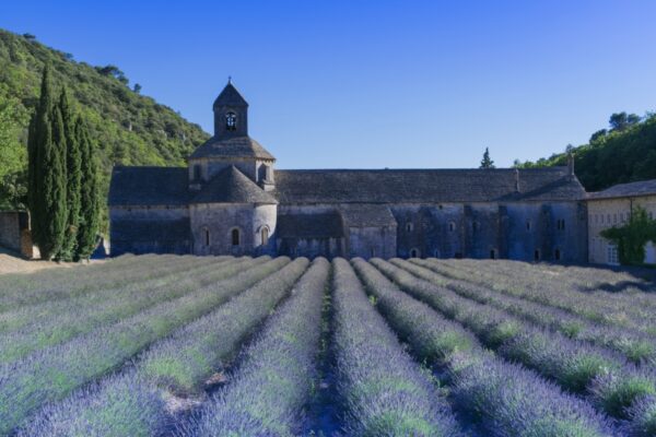 Abbaye de Sénanque dans le Luberon