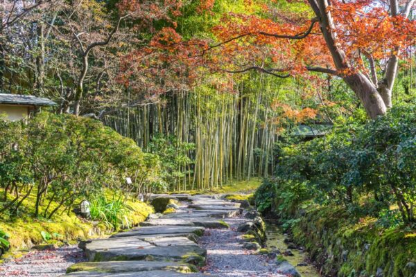 Jardin Shokado à Yawata