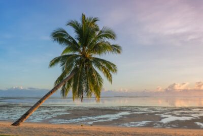 Plage à marée basse à l'hôtel Isla Cabana