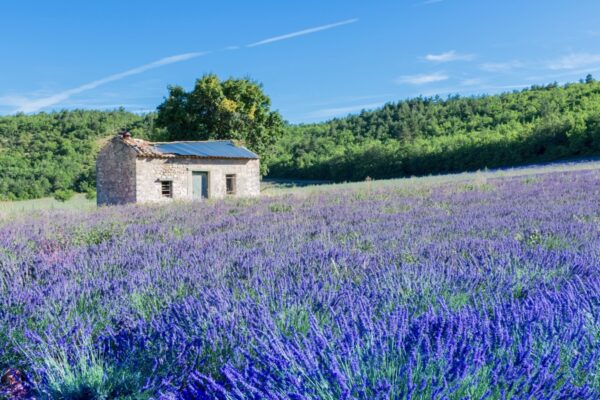 Que faire dans le Luberon