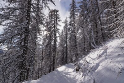 Raquettes dans le Pays des Ecrins