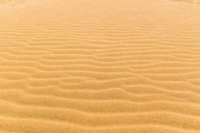 Rides sur le sable des dunes
