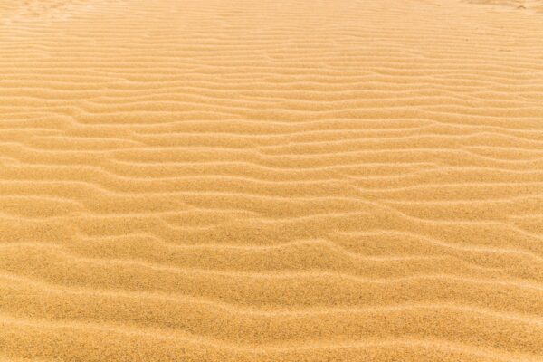 Rides sur le sable des dunes