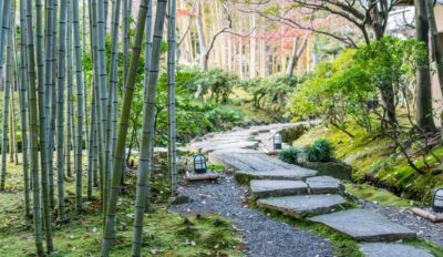 Une journée à Yawata