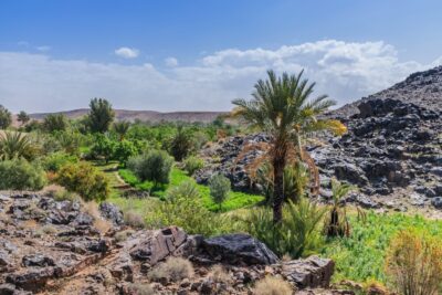 Oasis de Sidi Flah près de Skoura