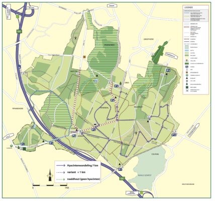 Plan Hallerbos