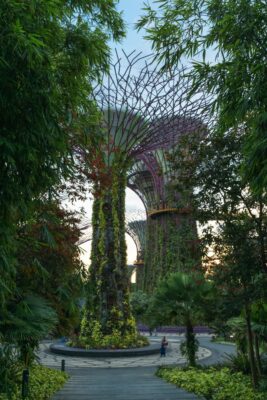 Gardens by the Bay à Singapour