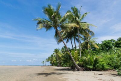 Plage du parc national marin de Ballena au Costa Rica