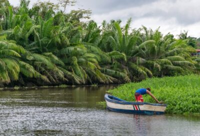 Rio Sierpe au Costa Rica