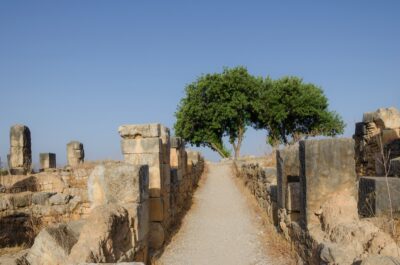 Ruines de Volubilis