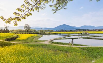 Visiter Gyeongju en Corée du Sud