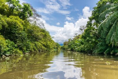 En bateau sur le Rio Sierpe