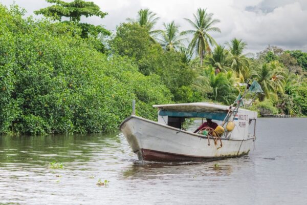 Fisherman - Rio Sierpe, Costa Rica