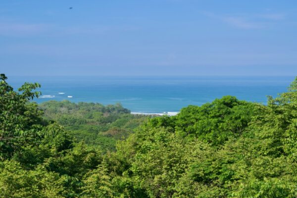 Vue depuis la Casa Chameleon à Malpais